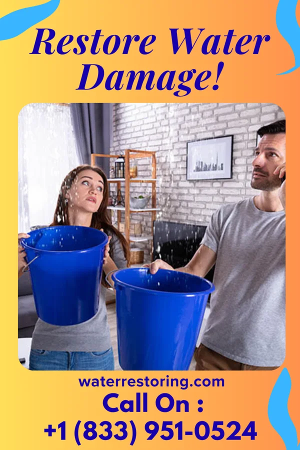 water restoration Platinum Sewage Cleanup Force Westby