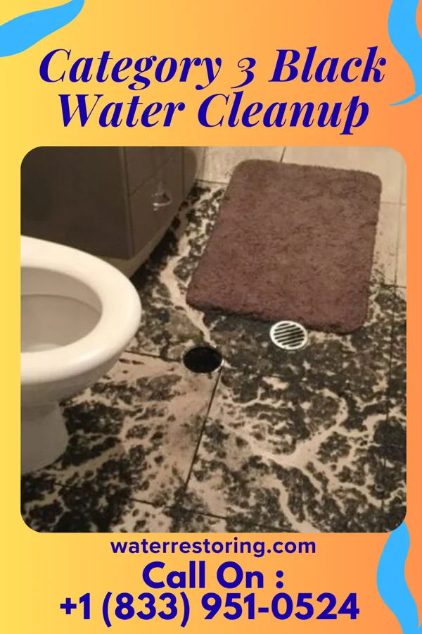 Category 3 Black Water Cleanup in Westby, WI