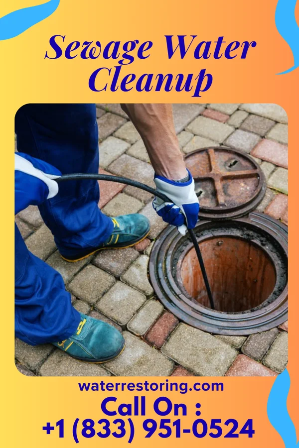 Sewage Water Cleanup in Westby, WI