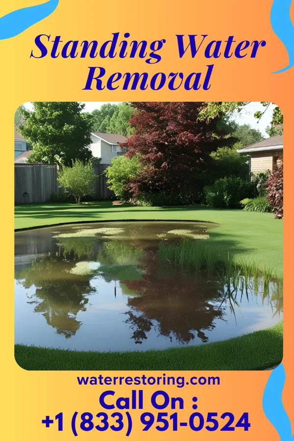 Standing Water Removal in Westby, WI